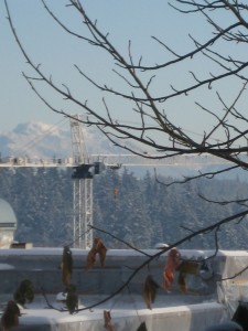 A view of the distant Cascade mountains and a tower crane.