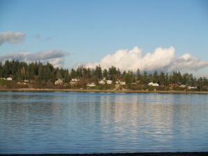 The view from the beach-access park near the house.